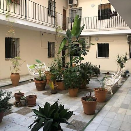 Sevilla San Bernardo Apartamento エクステリア 写真