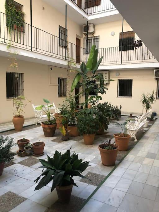 Sevilla San Bernardo Apartamento エクステリア 写真